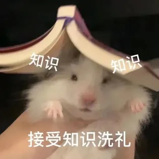 各种花式装逼系列 Vol.10表情包