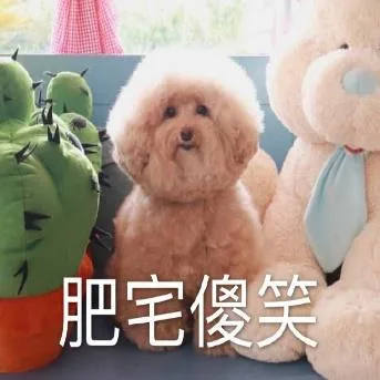 汪星人（汪星人）