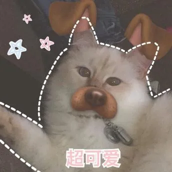 汪星人（汪星人）