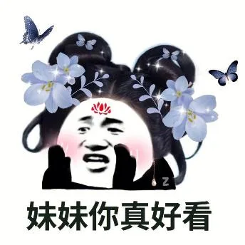 熊猫头（熊猫头）