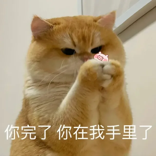 喵星人（喵星人）