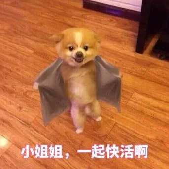 汪星人（汪星人）