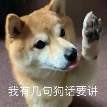 汪星人（汪星人）