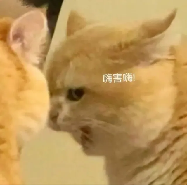 喵星人（喵星人）