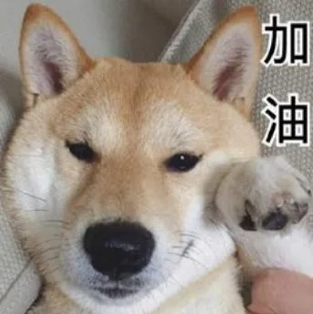 汪星人（汪星人）