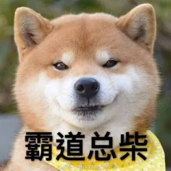汪星人（汪星人）