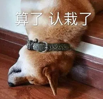 汪星人（汪星人）