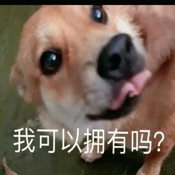 汪星人（汪星人）