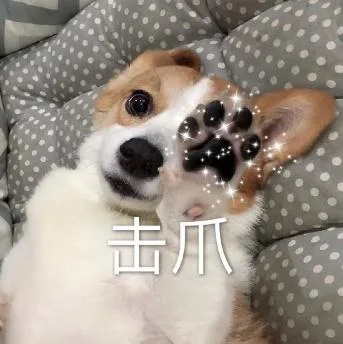 汪星人（汪星人）