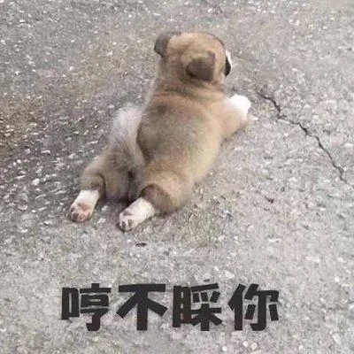 汪星人（汪星人）