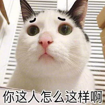 喵星人（喵星人）