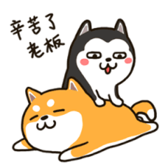 GIF动图（GIF动图）