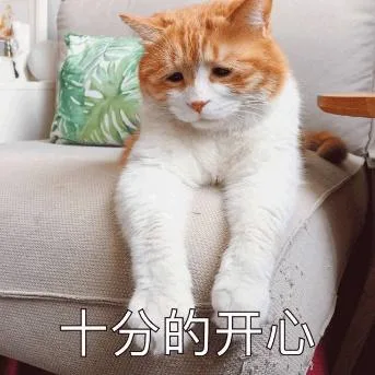 喵星人（喵星人）