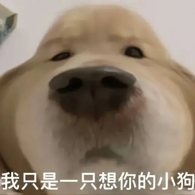 喵星人（喵星人）
