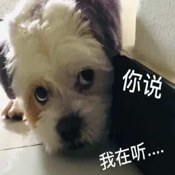 汪星人（汪星人）