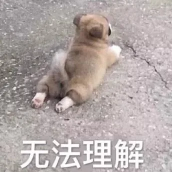 汪星人（汪星人）