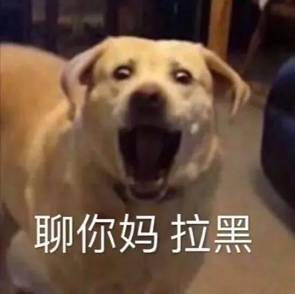 汪星人（汪星人）