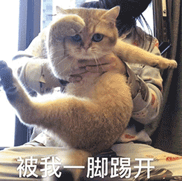 GIF动图（GIF动图）