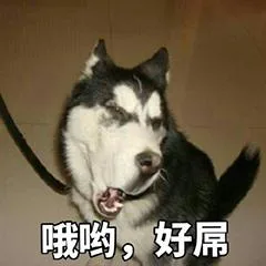 汪星人（汪星人）