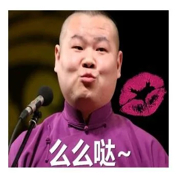 岳云鹏（岳云鹏）