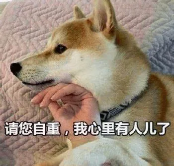 汪星人（汪星人）