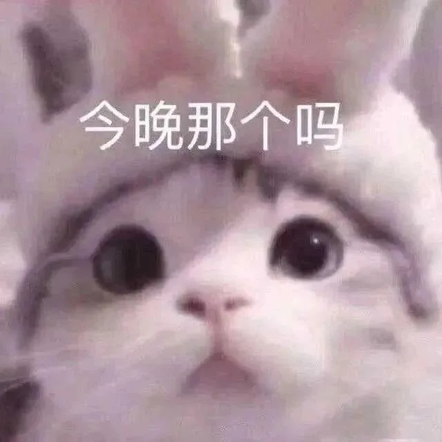 喵星人（喵星人）
