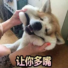 汪星人（汪星人）