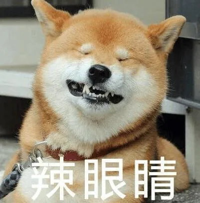 汪星人（汪星人）