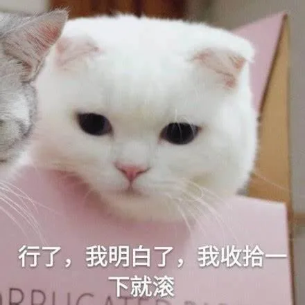 喵星人（喵星人）