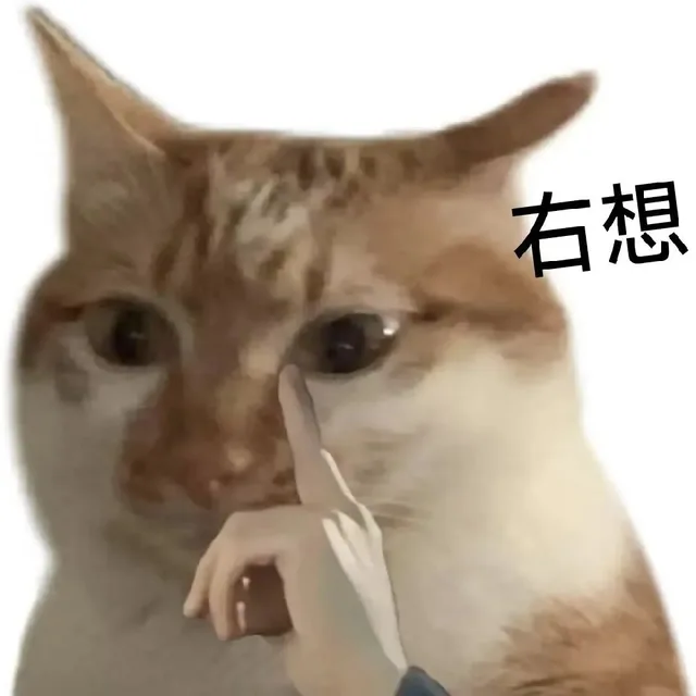 各种花式装逼系列表情包第048张