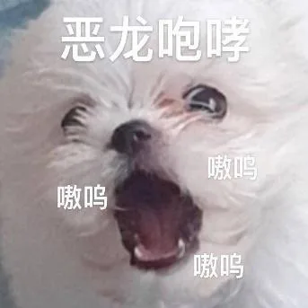 汪星人（汪星人）