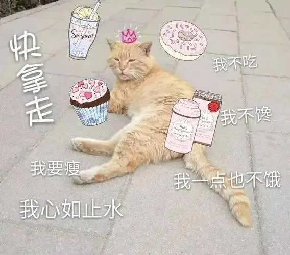 喵星人（喵星人）