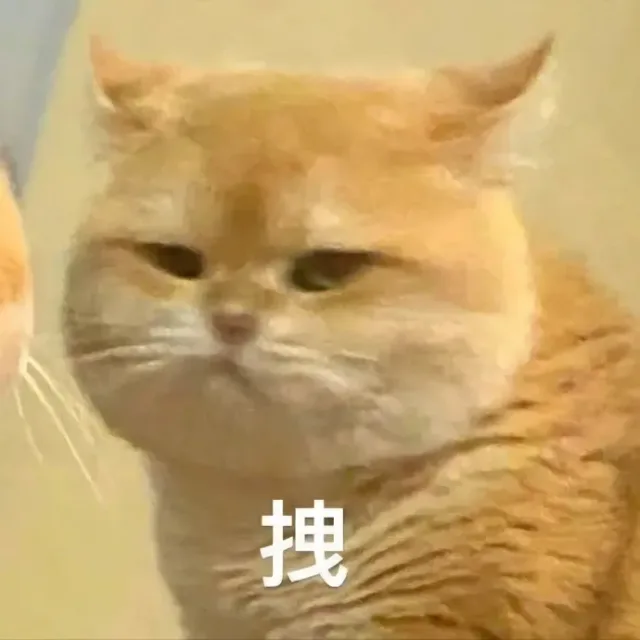 喵星人（喵星人）