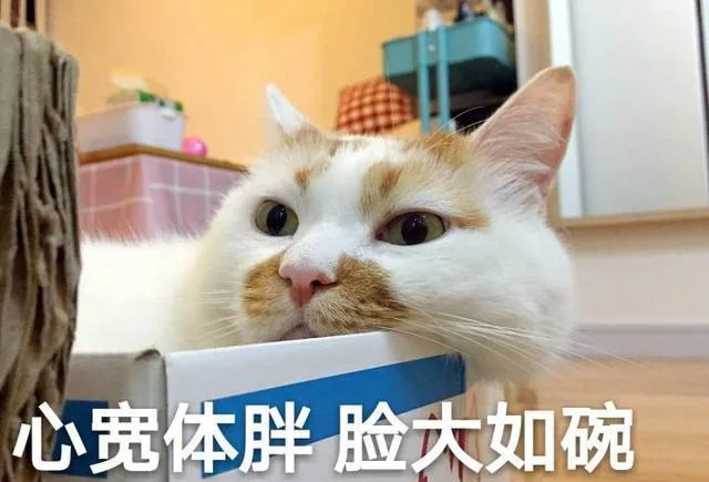 喵星人（喵星人）