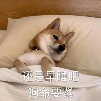 汪星人（汪星人）