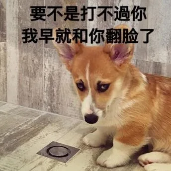 汪星人（汪星人）
