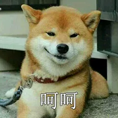 汪星人（汪星人）
