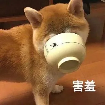 汪星人（汪星人）