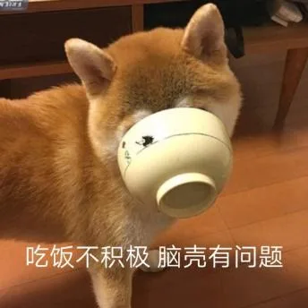 汪星人（汪星人）