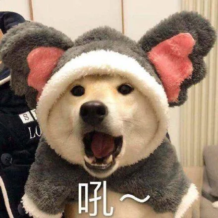 汪星人（汪星人）