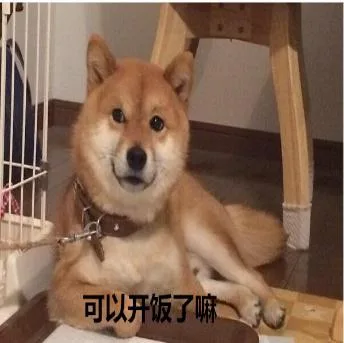 汪星人（汪星人）