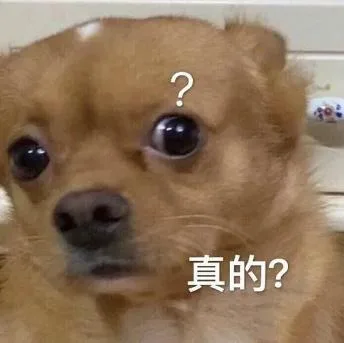 汪星人（汪星人）