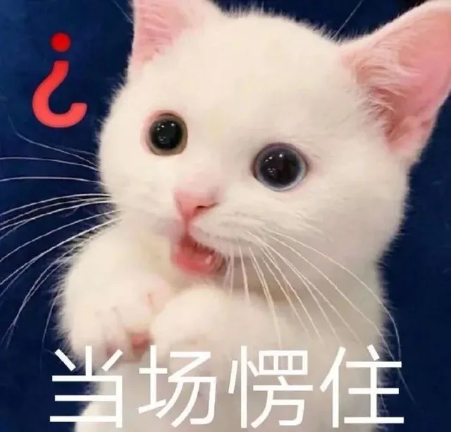 喵星人（喵星人）