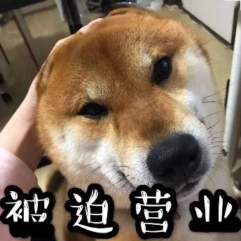 汪星人（汪星人）