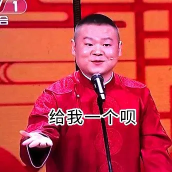 岳云鹏（岳云鹏）