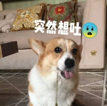 汪星人（汪星人）