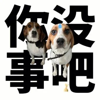 汪星人（汪星人）