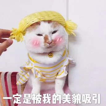 喵星人（喵星人）