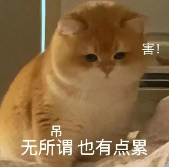 喵星人（喵星人）