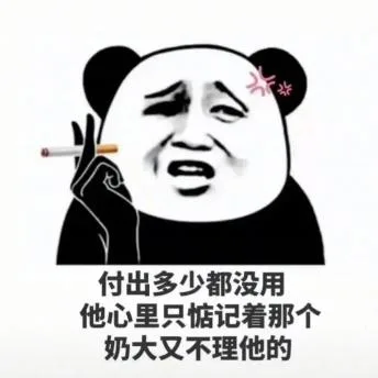 熊猫头（熊猫头）